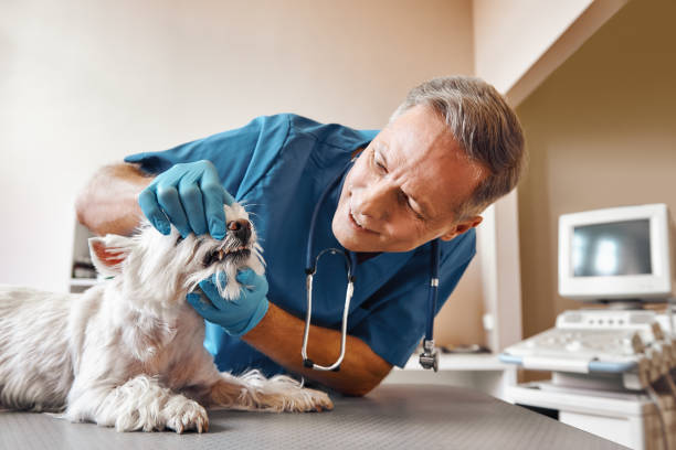 Best Emergency TMJ Treatment in Satsuma, AL